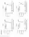 Fig. 18 - Anti-OX40 antibodies