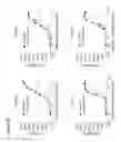 Fig. 22 - Anti-OX40 antibodies