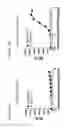 Fig. 28 - Anti-OX40 antibodies