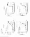 Fig. 42 - Anti-OX40 antibodies
