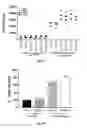 Fig. 02 - Antibodies that bind CD39 and uses thereof