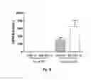 Fig. 04 - Antibodies that bind CD39 and uses thereof