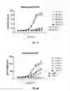 Fig. 08 - Antibodies that bind CD39 and uses thereof