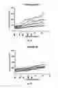 Fig. 09 - Antibodies that bind CD39 and uses thereof