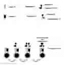 Fig. 01 - Dual antigen-induced bipartite functional complementation