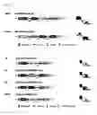Fig. 05 - Dual antigen-induced bipartite functional complementation