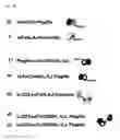 Fig. 06 - Dual antigen-induced bipartite functional complementation