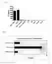 Fig. 09 - Dual antigen-induced bipartite functional complementation