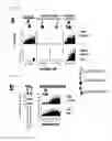 Fig. 11 - Dual antigen-induced bipartite functional complementation