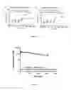 Fig. 07 - Heterodimeric immunoglobulin constructs and preparation methods thereof