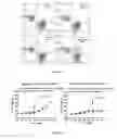 Fig. 09 - Heterodimeric immunoglobulin constructs and preparation methods thereof