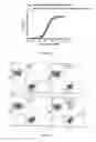 Fig. 12 - Heterodimeric immunoglobulin constructs and preparation methods thereof
