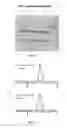 Fig. 15 - Heterodimeric immunoglobulin constructs and preparation methods thereof