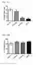 Fig. 16 - Antibodies capable of binding to the coagulation factor XIa and uses thereof