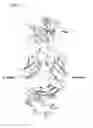 Fig. 18 - Antibodies capable of binding to the coagulation factor XIa and uses thereof