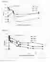 Fig. 22 - Antibodies capable of binding to the coagulation factor XIa and uses thereof
