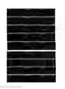 Fig. 02 - Bifunctional peptide having capability to permeate cells and capability to regenerate muscles and use thereof