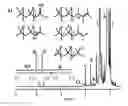 Fig. 02 - Process for preparing high-reactivity isobutene homo- or copolymers