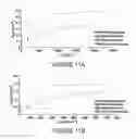 Fig. 12 - Polyolefin dispersants and methods of making and using thereof