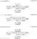 Fig. 02 - Processes for producing high propylene content PEDM having low glass transition temperatures using tetrahydroindacenyl catalyst systems