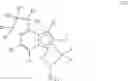 Fig. 12 - Processes for producing high propylene content PEDM having low glass transition temperatures using tetrahydroindacenyl catalyst systems