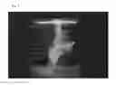 Fig. 02 - Fluorescent resin particles and use thereof