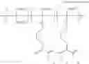 Fig. 20 - Cationic polyphosphazene compound, polyphosphazenes-drug conjugate compound and method for preparing same