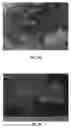 Fig. 04 - In-situ polymerization method for producing a polyethylene nanocomposite