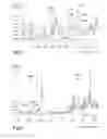 Fig. 07 - Tyre comprising hydrothermally carbonized lignin