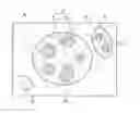 Fig. 01 - THERMOPLASTIC RESIN COMPOSITION, METHOD FOR PRODUCING SAME, AND MOLDED BODY