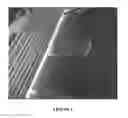 Fig. 02 - LED CURABLE COATINGS FOR FLOORING COMPRISING DIAMOND PARTICLES AND METHODS FOR MAKING THE SAME