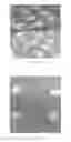 Fig. 03 - DIELECTRIC HEATING OF FOAMABLE COMPOSITIONS