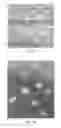 Fig. 04 - DIELECTRIC HEATING OF FOAMABLE COMPOSITIONS