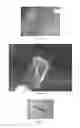 Fig. 02 - AN ADHESIVE COMPOSITION AND AN ADHESIVE FILM OBTAINED THEREFROM