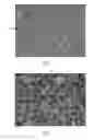 Fig. 05 - PARTICULATE MATERIAL AND METHOD FOR FORMING SAME