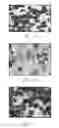 Fig. 08 - PARTICULATE MATERIAL AND METHOD FOR FORMING SAME