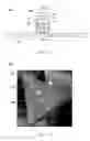 Fig. 03 - Shaped abrasive particles and method of forming same