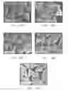Fig. 15 - Shaped abrasive particles and method of forming same