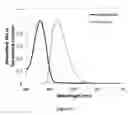 Fig. 07 - WAVELENGTH CONVERSION FILMS WITH MULTIPLE PHOTOSTABLE ORGANIC CHROMOPHORES