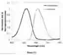 Fig. 08 - WAVELENGTH CONVERSION FILMS WITH MULTIPLE PHOTOSTABLE ORGANIC CHROMOPHORES