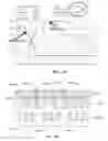 Fig. 13 - Color-converting structures and light-emitting structures and visual displays made therewith