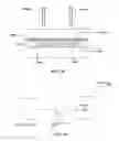 Fig. 22 - Color-converting structures and light-emitting structures and visual displays made therewith