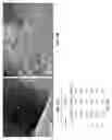 Fig. 14 - Methods and compositions for microwave-assisted non-oxidative catalytic direct conversion of natural gas