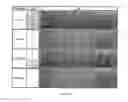 Fig. 03 - Alkaline warewash detergent composition comprising a terpolymer and methods to prevent foaming, filming and/or redeposition