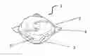 Fig. 01 - WATER-SOLUBLE UNIT DOSE ARTICLE COMPRISING ZWITTERIONIC POLYAMINE