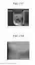 Fig. 28 - Microfluidic chip, three-dimensional channel structure, cell culture method using same, and activity evaluation method of bioactive substance using same