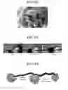 Fig. 41 - Microfluidic chip, three-dimensional channel structure, cell culture method using same, and activity evaluation method of bioactive substance using same