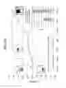 Fig. 43 - Microfluidic chip, three-dimensional channel structure, cell culture method using same, and activity evaluation method of bioactive substance using same