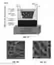 Fig. 02 - Method and apparatus for isolating invasive and metastatic cells for evaluating therapeutics and prediction of metastatic capacity