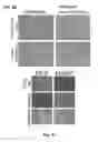 Fig. 06 - Method and apparatus for isolating invasive and metastatic cells for evaluating therapeutics and prediction of metastatic capacity